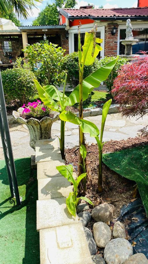 B&B Villa Botto Cossato Exterior photo